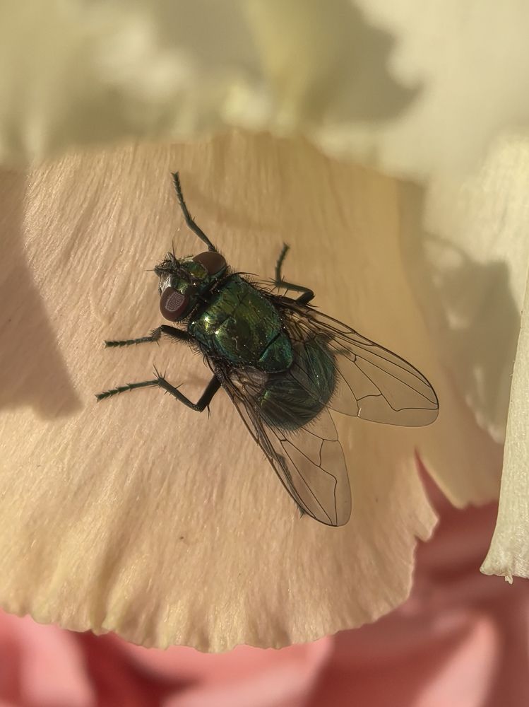 Photograph by Оксана Абакумова