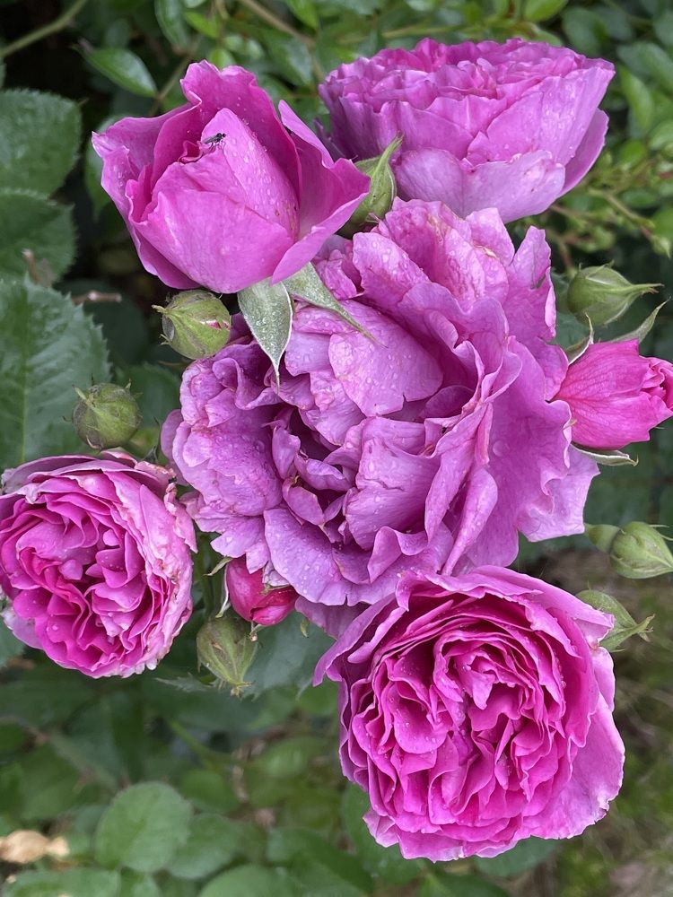 Photograph by Татьяна