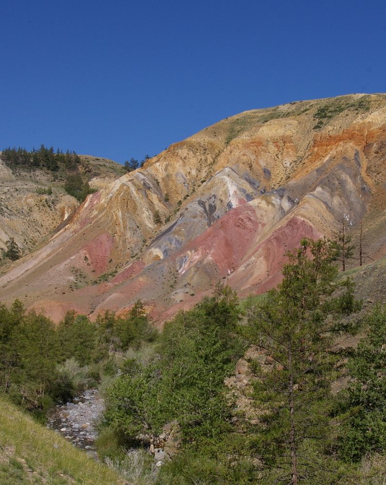 Photograph by Елена Алешкевич