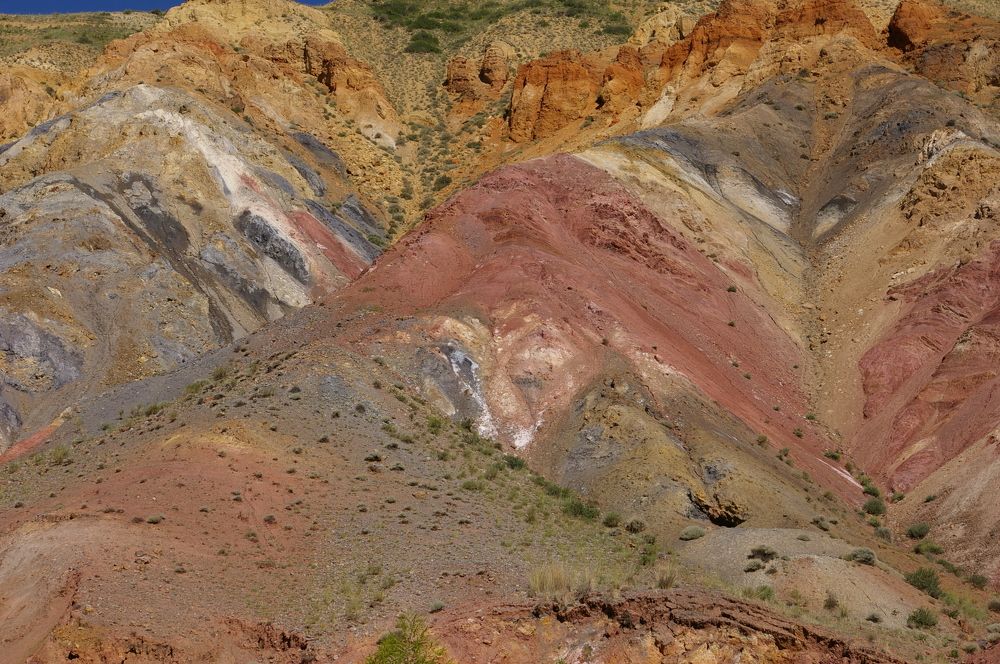 Photograph by Елена Алешкевич