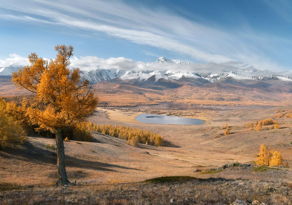 Photograph by Светлана Крат