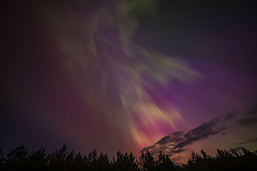 Photograph by Елена Перминова