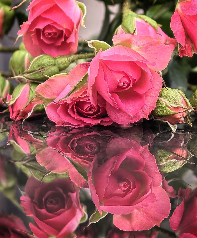 Photograph by Оксана Абакумова