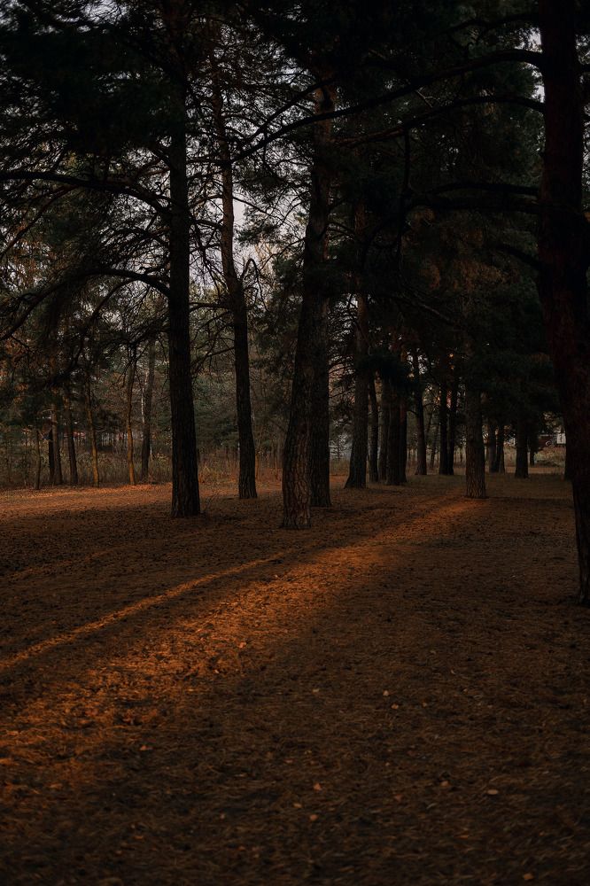 Photograph by Юлия Шевцова