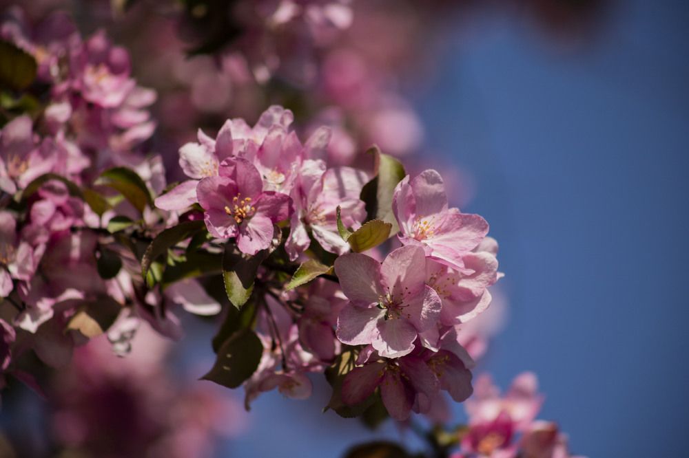 Photograph by Елена Перминова