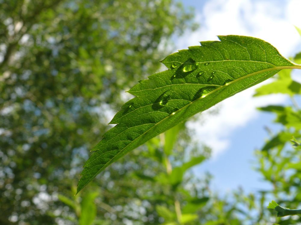 Фотография автора Анастасия Зверева