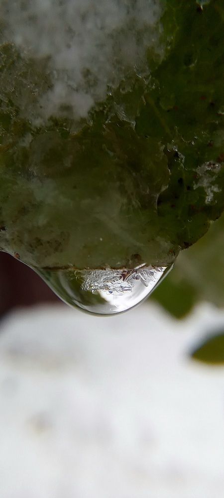 Фотография автора Марина Новикова