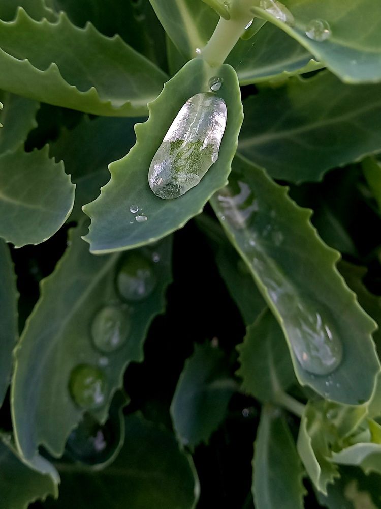 Фотография автора Марина Новикова