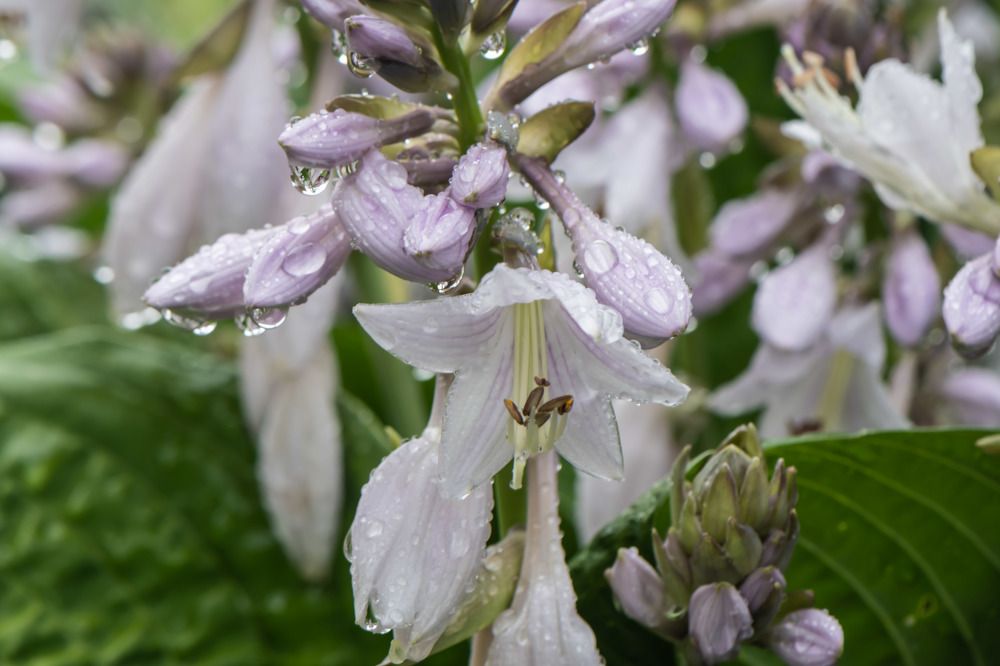 Photograph by Татьяна