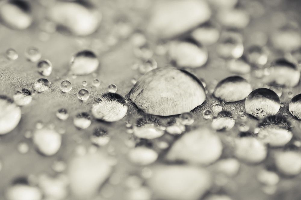 Photograph by Татьяна