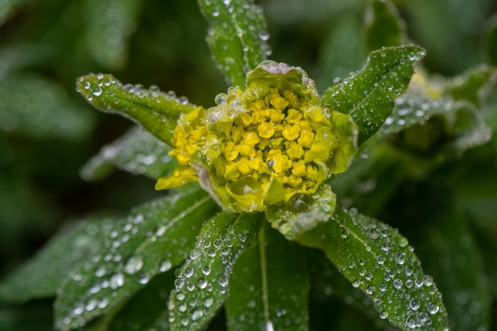 Photograph by Татьяна