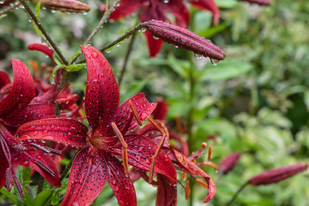 Photograph by Татьяна