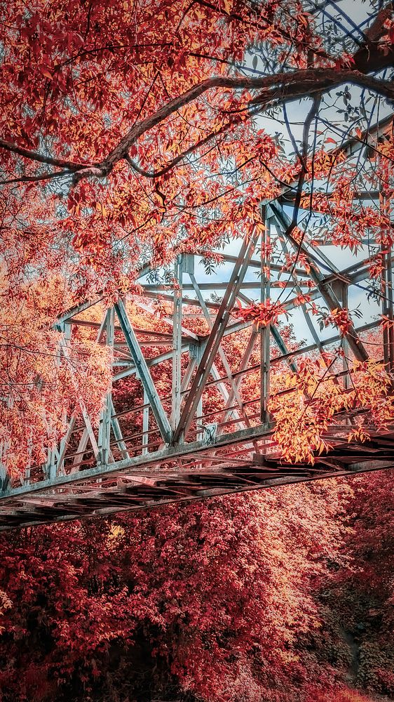 Photograph by Lenar Valeev