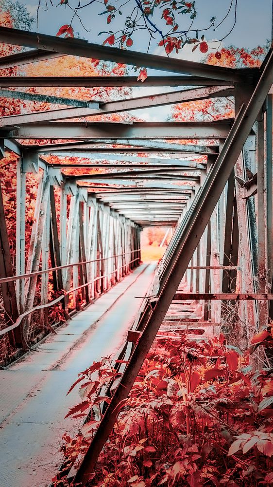 Photograph by Lenar Valeev