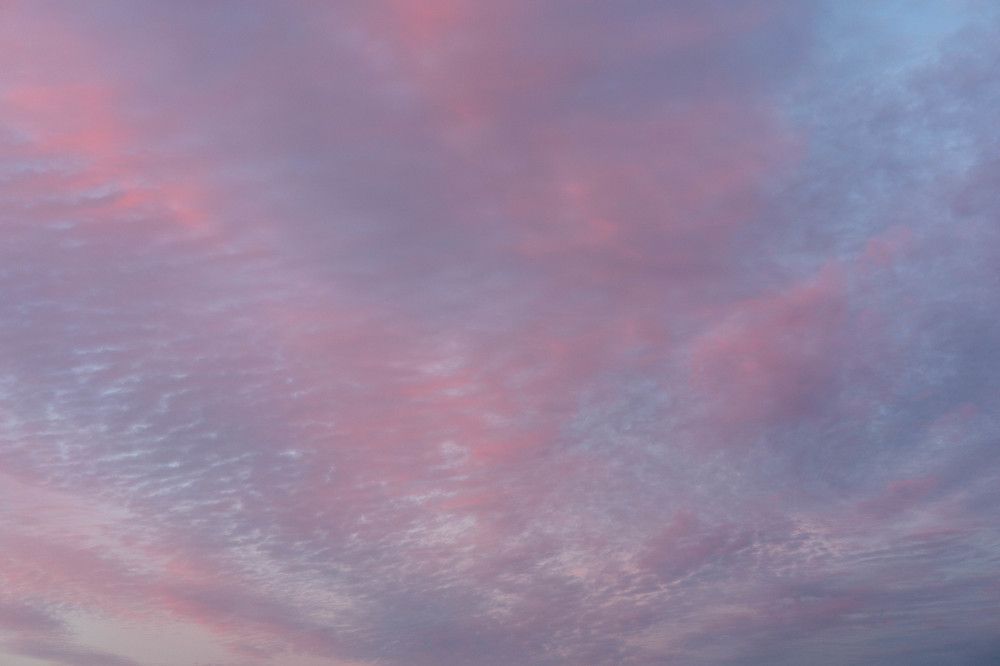 Фотография автора Алина Павлова