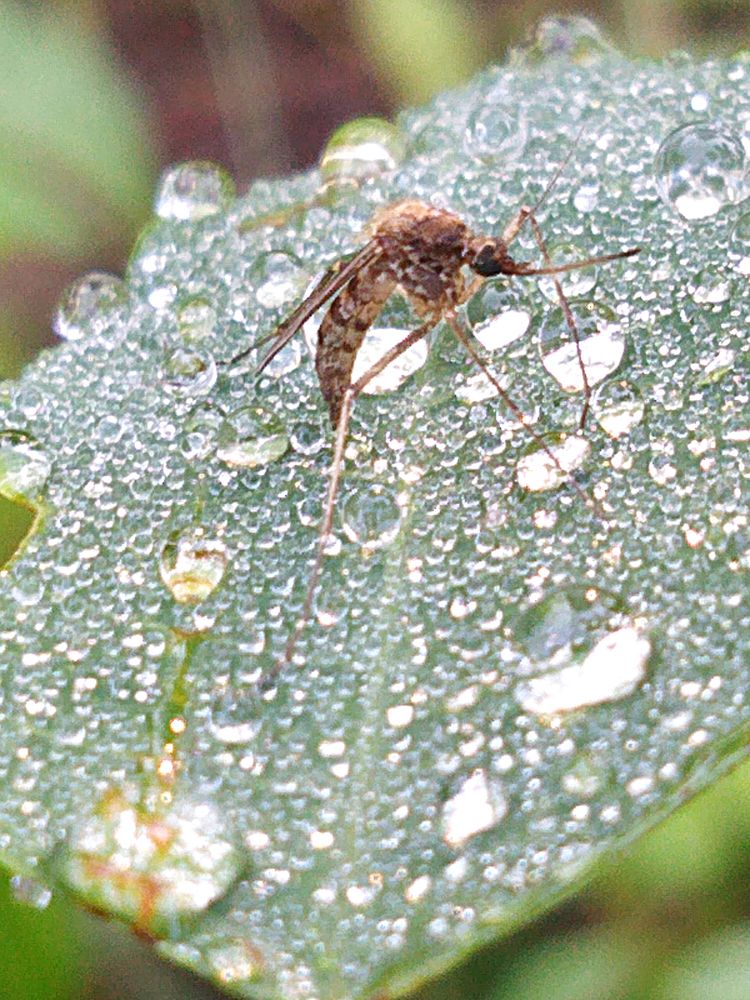 Фотография автора Екатерина Пачина