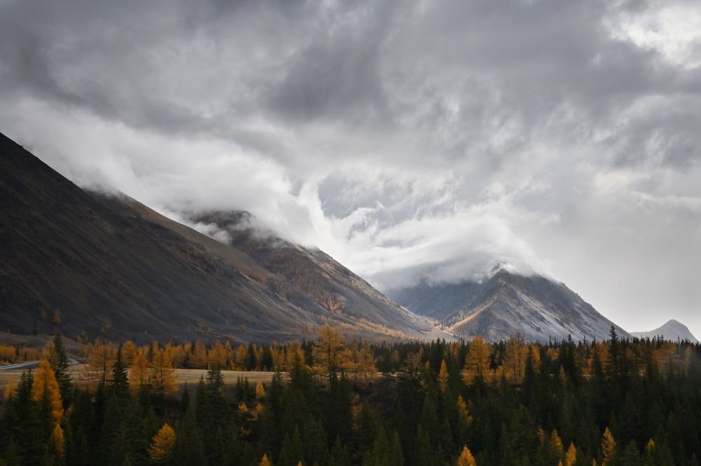 Облака Курайской степи