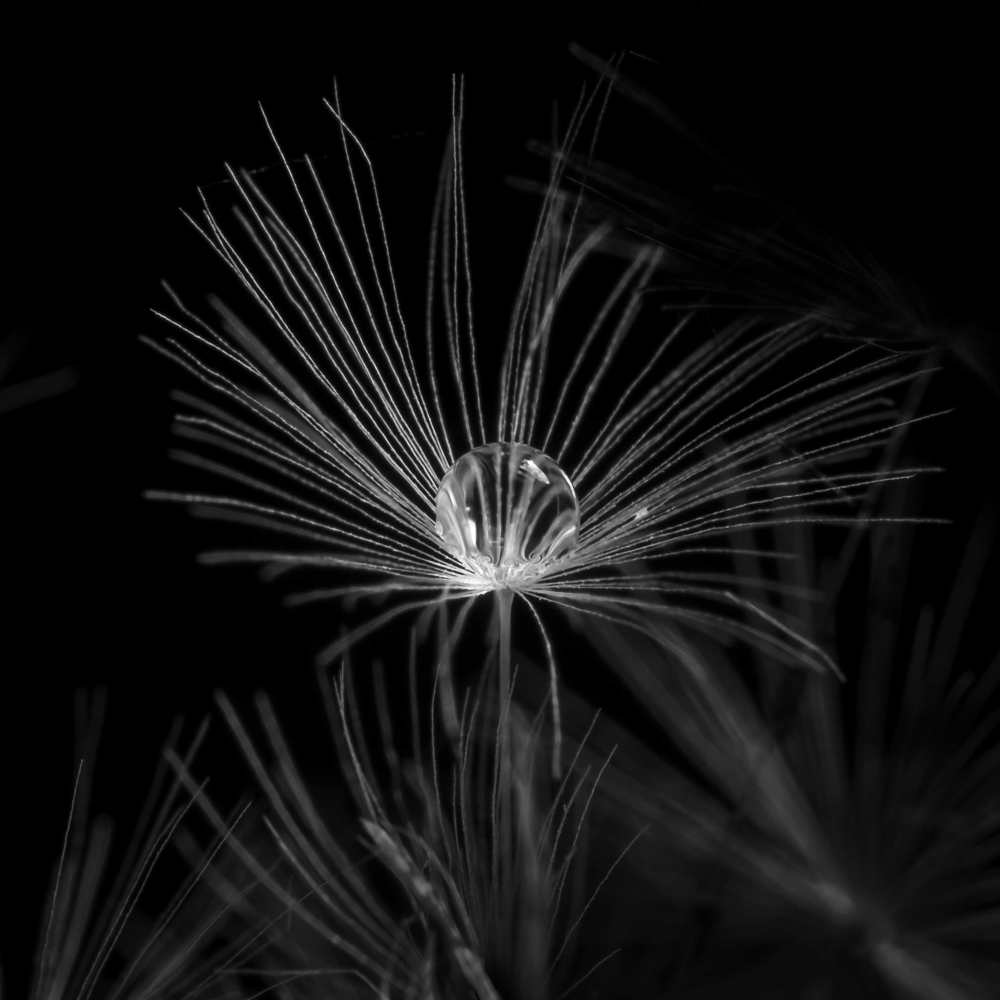 Photograph by Jiří Hakauf