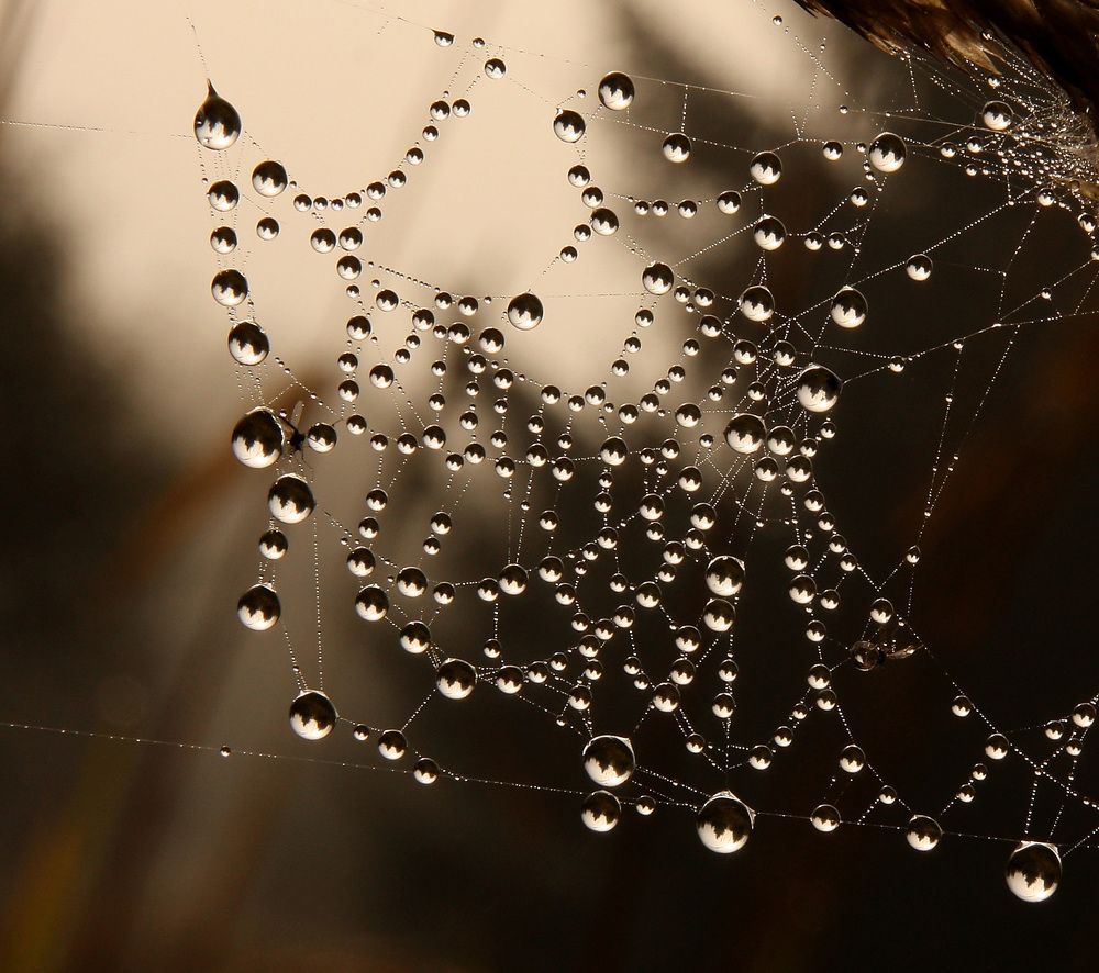 Photograph by Jiří Hakauf