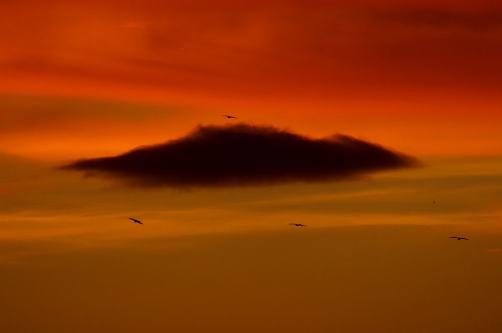 Photograph by Mahesh Varade