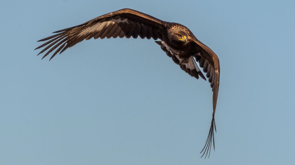 Photograph by константин