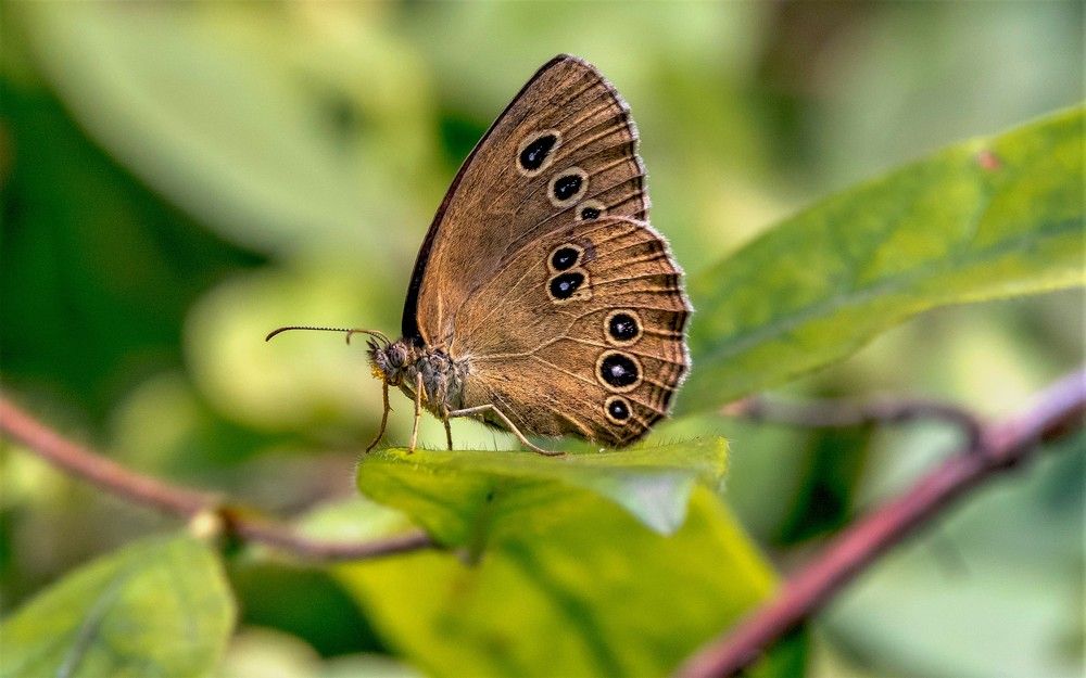 Photograph by константин