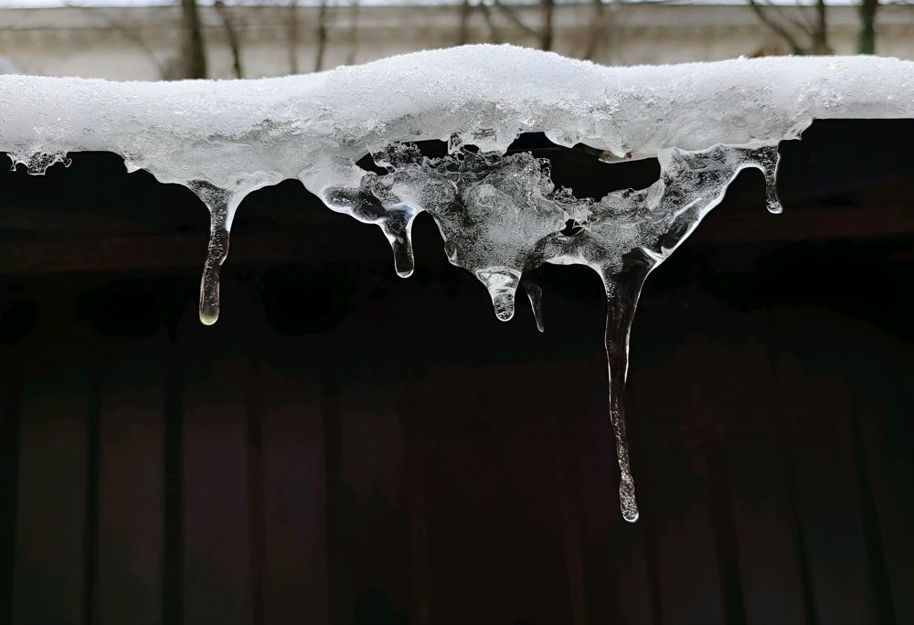 В начале зимы