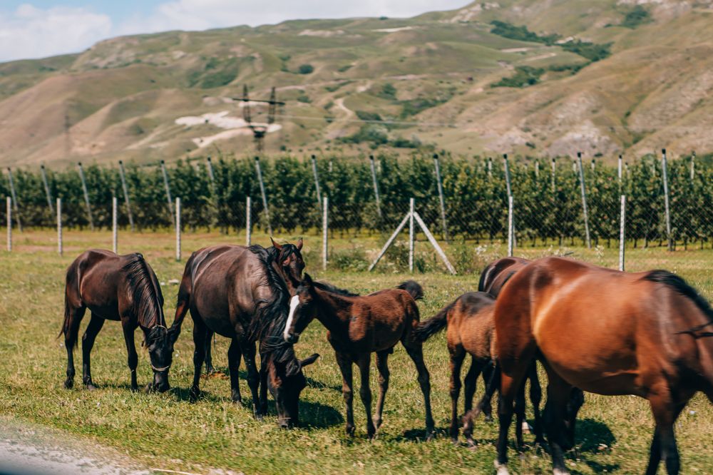 Photograph by Марина Денисова