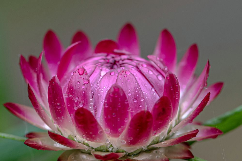 Photograph by константин