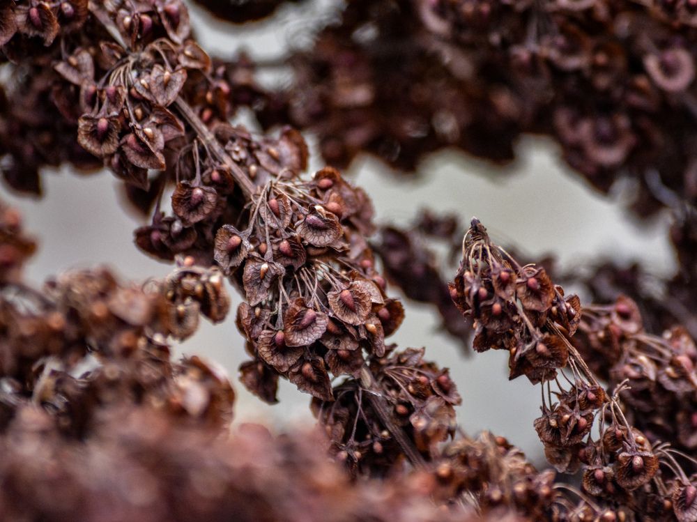 Photograph by Анастасия Гурова