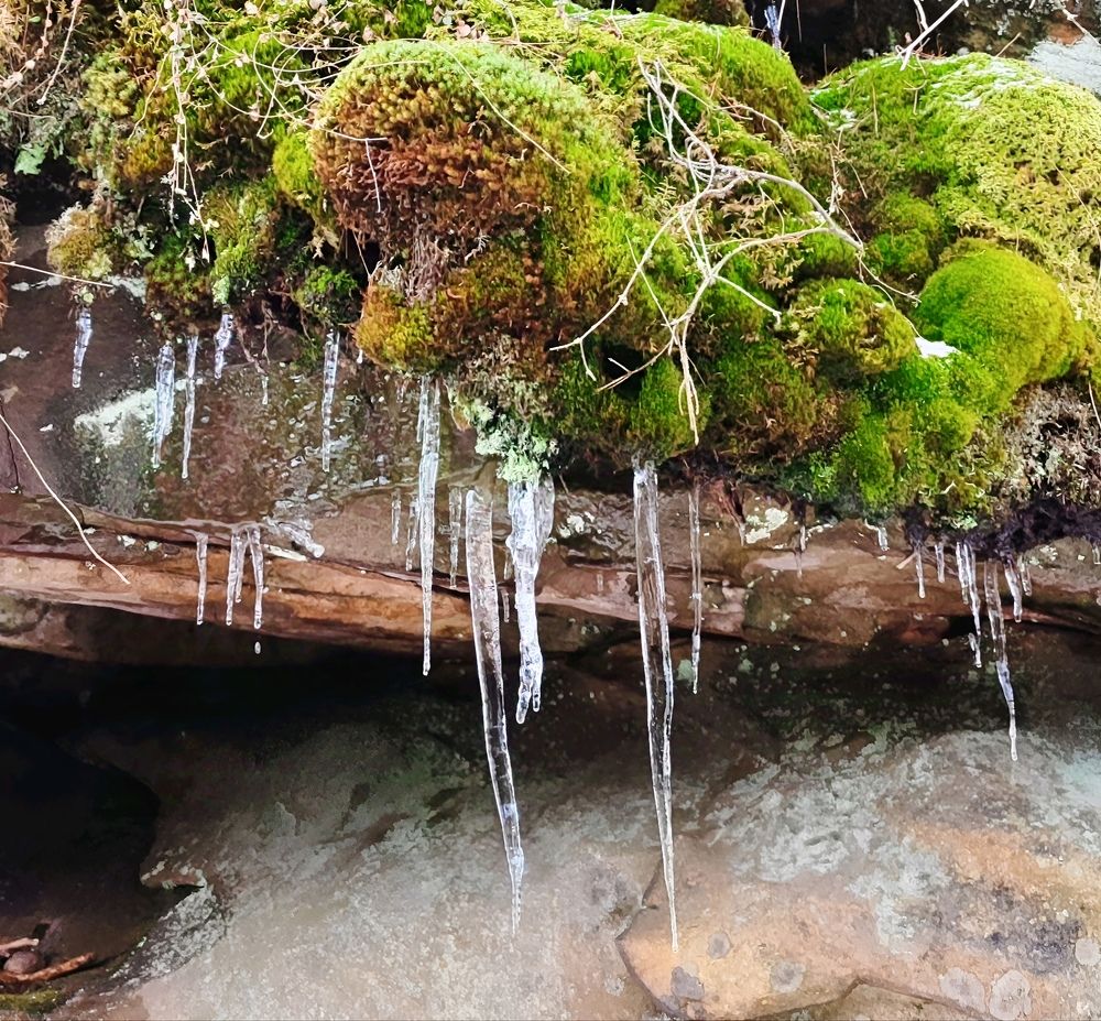 Осенняя капель