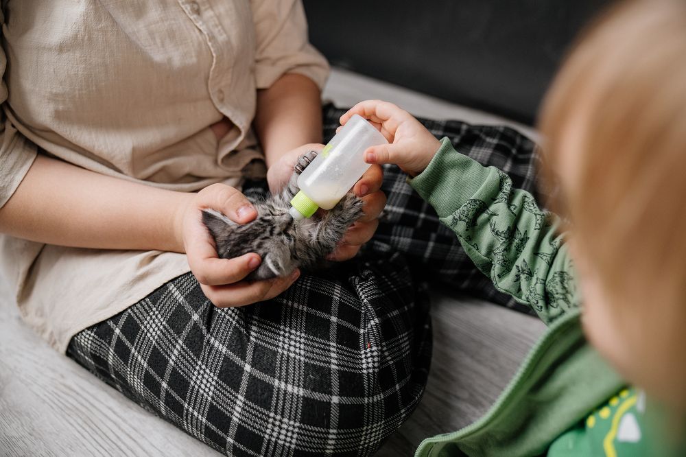 Photograph by Натали Захарова (Тай)