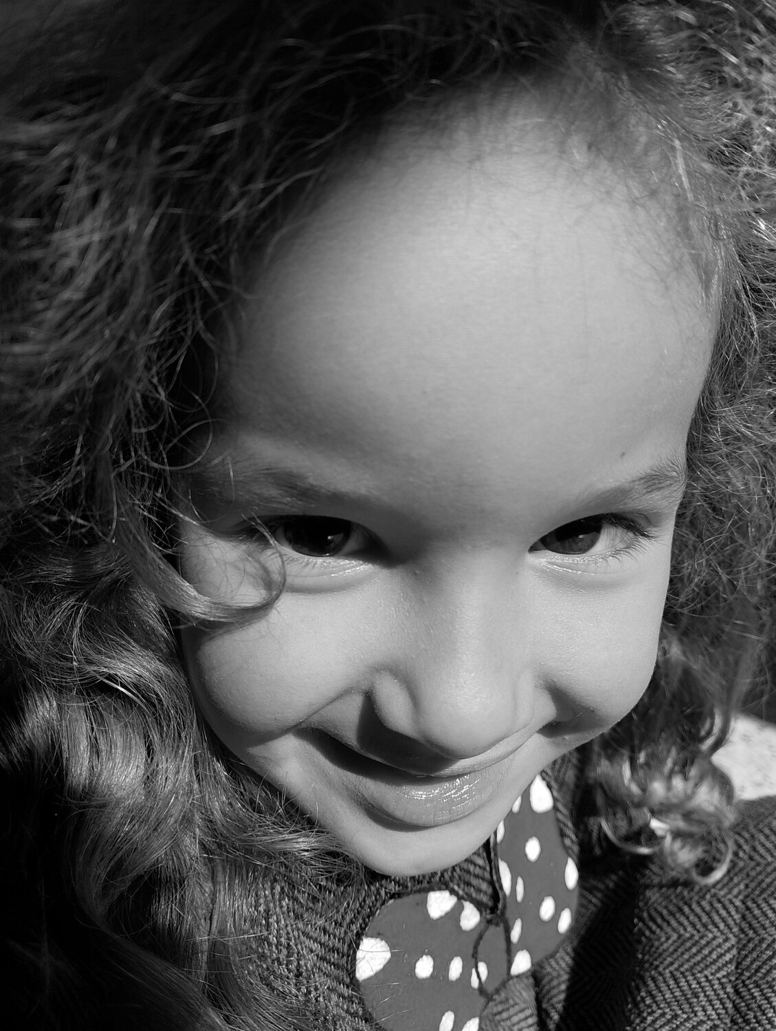 Photo #11461415