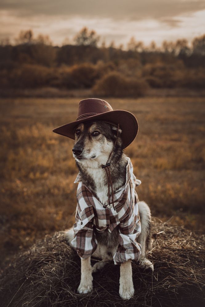 Photograph by Татьяна Степанова