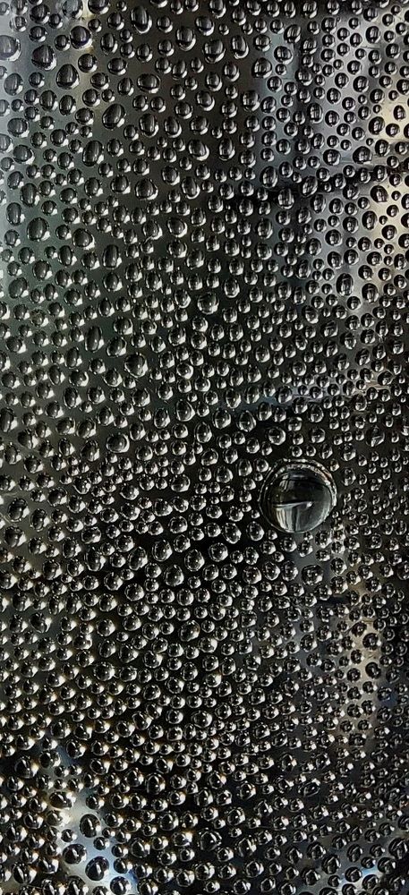 Photograph by Юлия Шмакотина