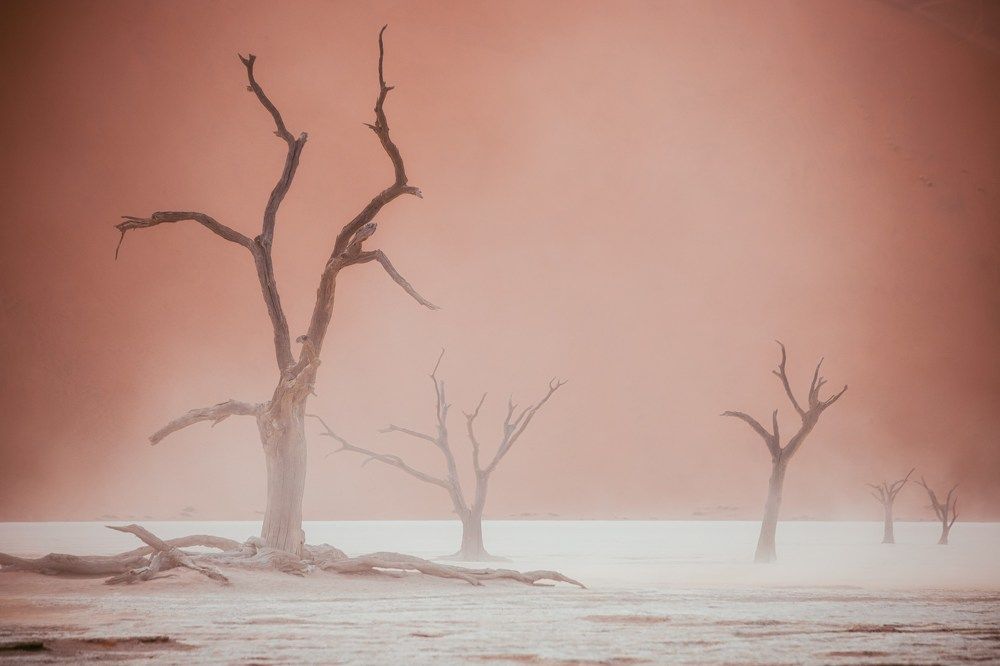 Photograph by Алексей Мараховец