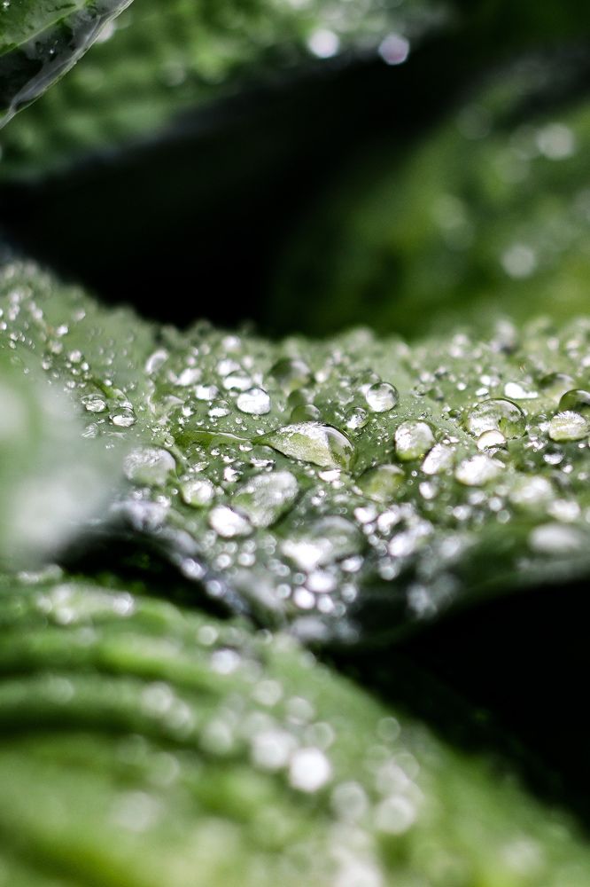 Photograph by Хельга Кольцова