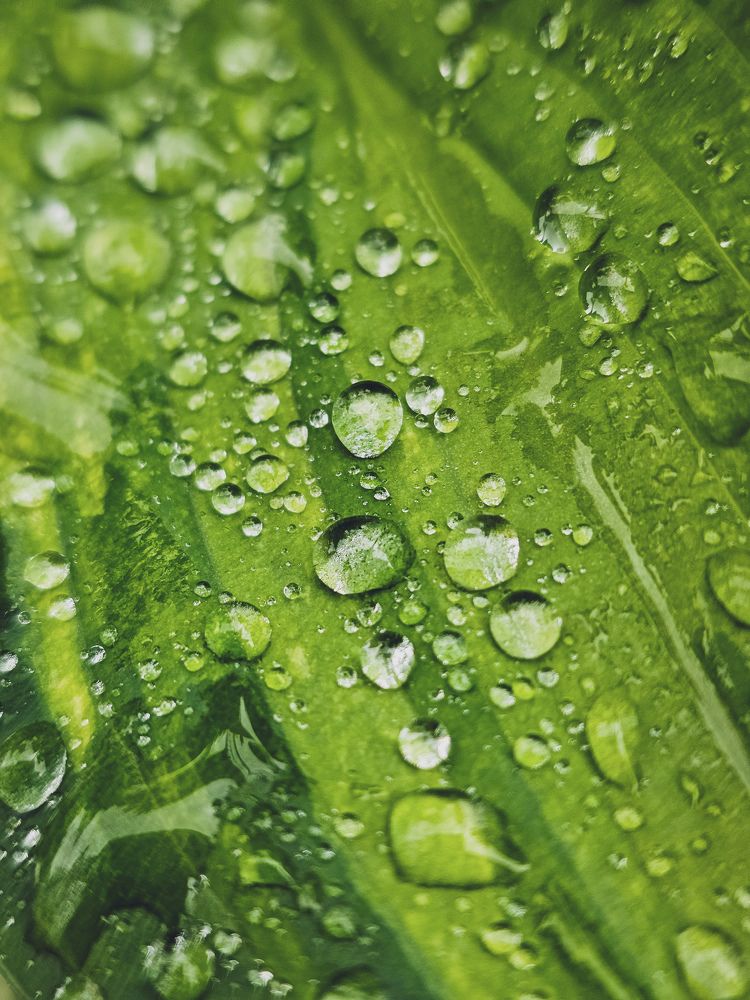 Photograph by Хельга Кольцова