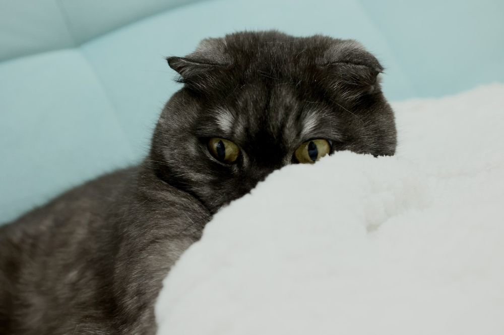 Photograph by Татьяна Смирнова