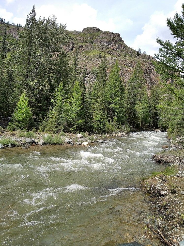 Photo #11461495