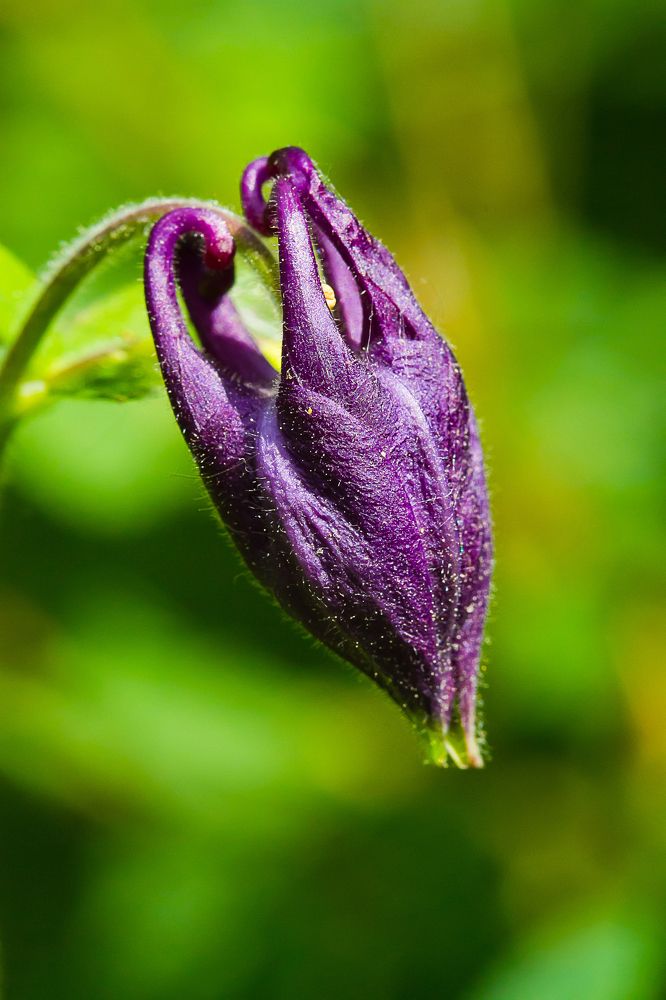 Photograph by Aleksei Kazakov