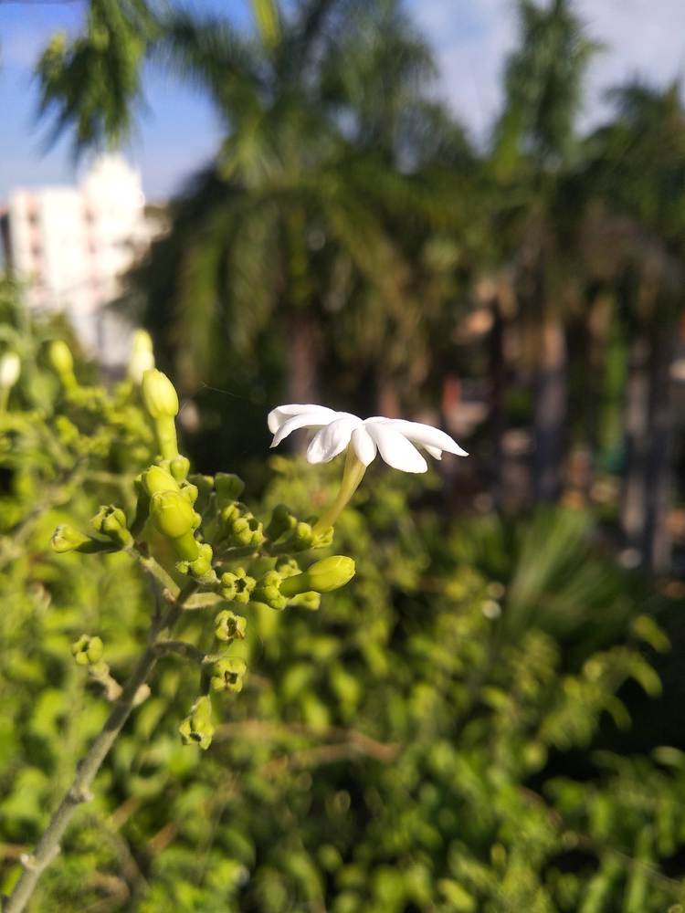 Photograph by Ramani Gumble