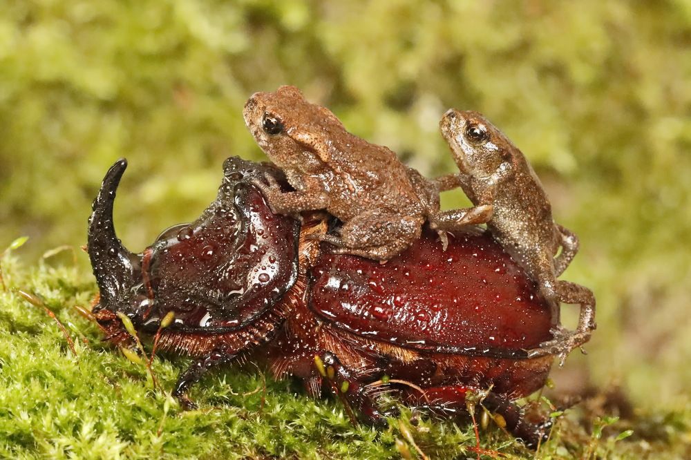 Photograph by Сергей Маслов