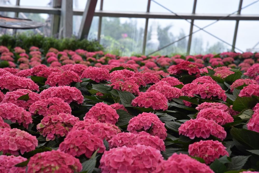 Photograph by Людмила Воропаева