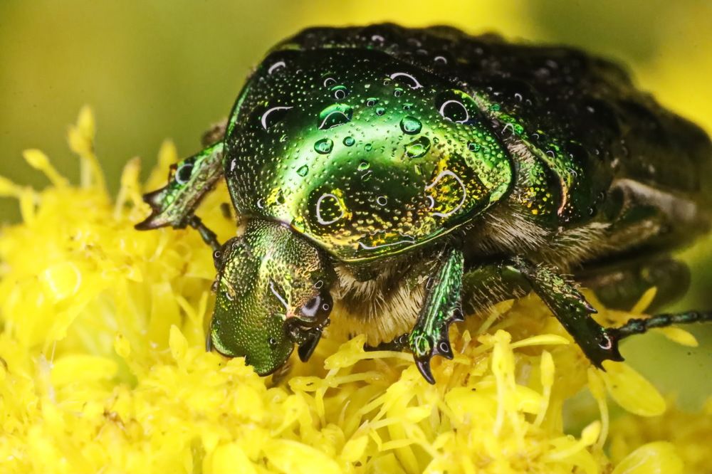 Photograph by Сергей Маслов