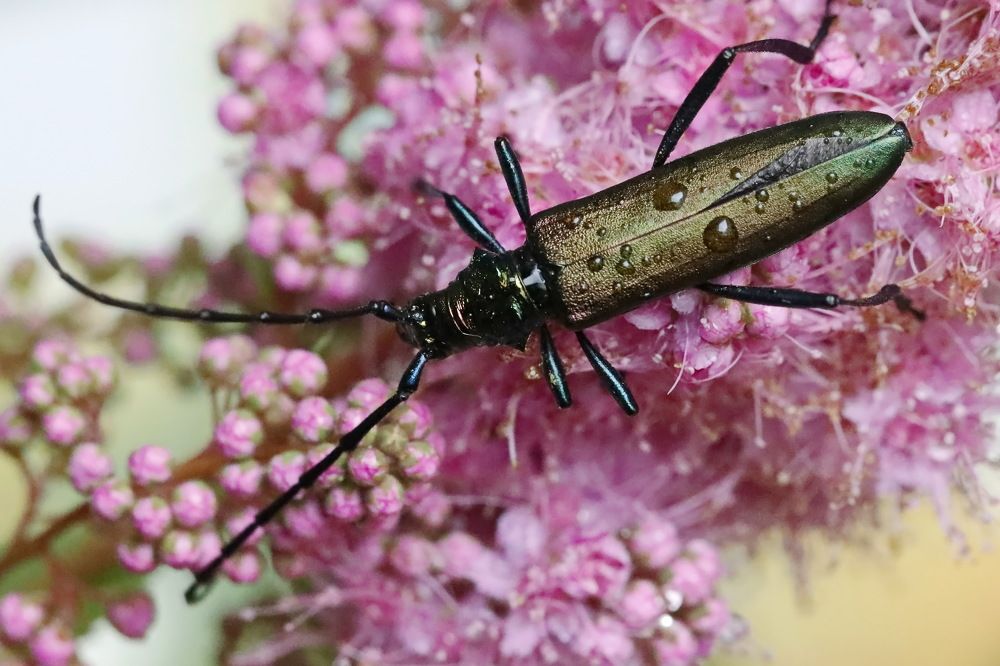 Photograph by Сергей Маслов