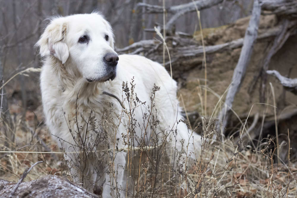 Photograph by Елена Глуховкина