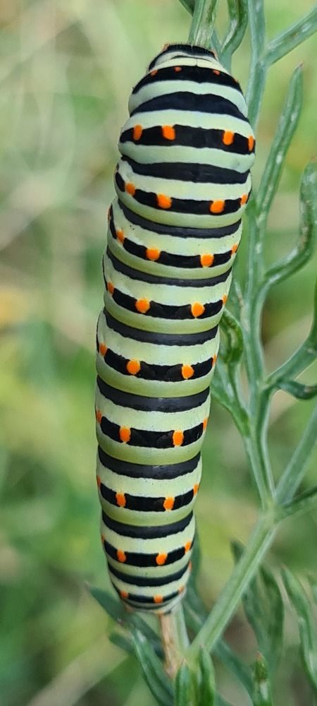 Photograph by Nadzeya