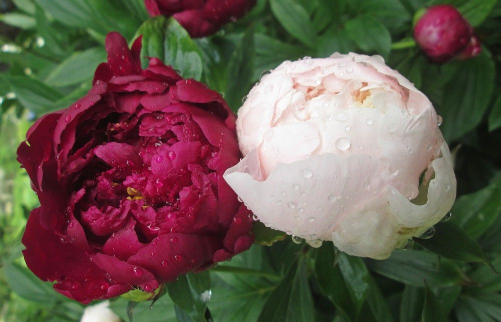 Photograph by Михаил Попов