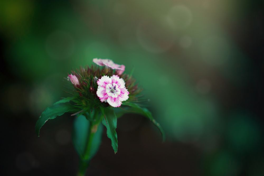 Photograph by Евгения Кинжакова